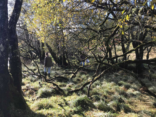 Sloe Picking J Boult Designs